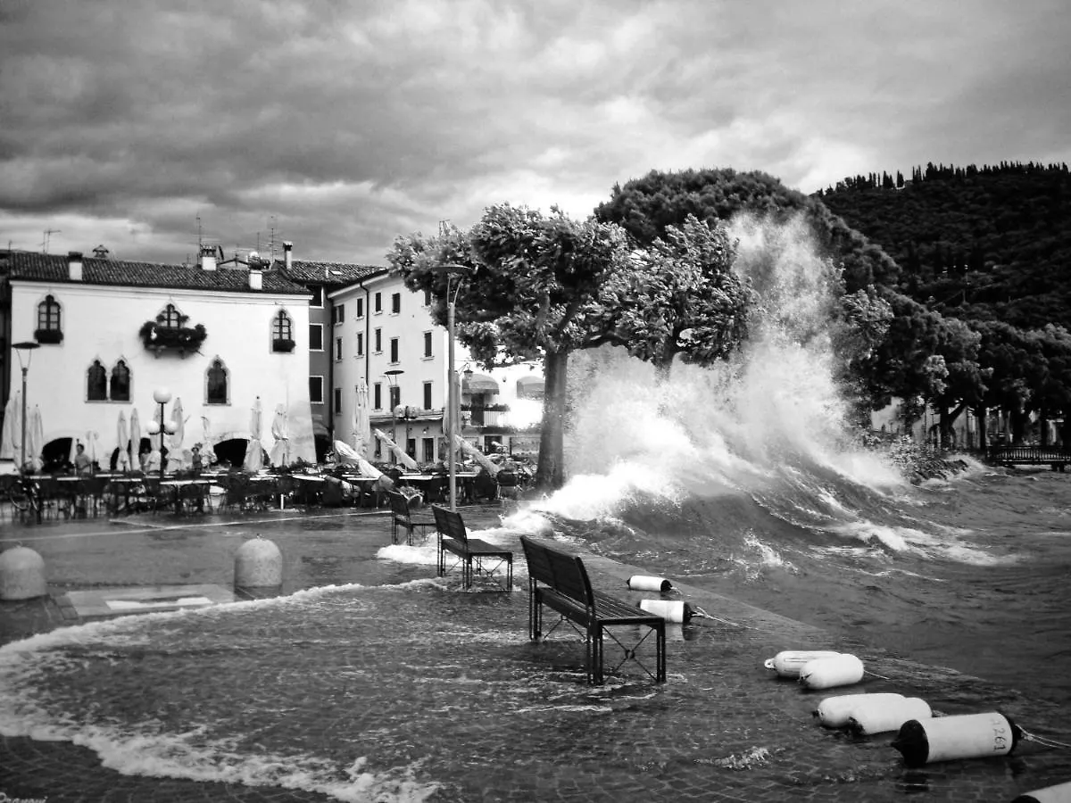Appartamenti Fiori Del Lago Garda  Garda (Verona)